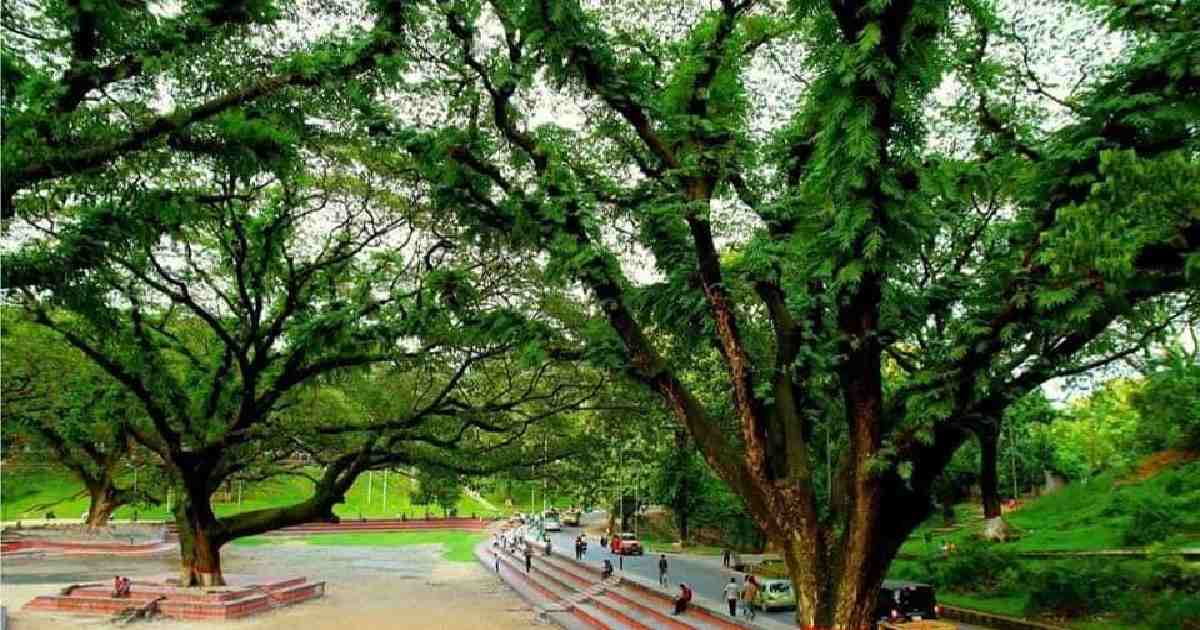 Ctg lawyer files case seeking ban on building hospital at CRB